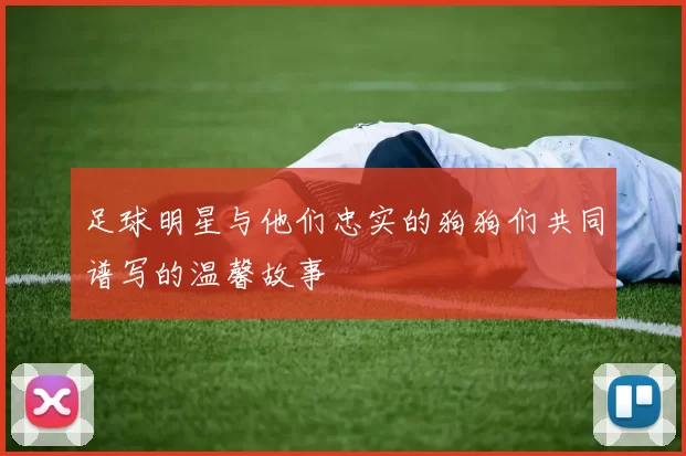 足球明星与他们忠实的狗狗们共同谱写的温馨故事