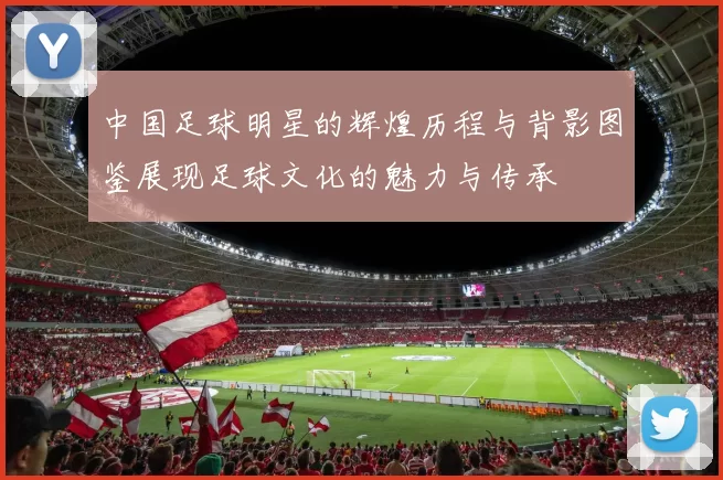 中国足球明星的辉煌历程与背影图鉴展现足球文化的魅力与传承