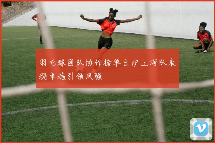 羽毛球团队协作榜单出炉上海队表现卓越引领风骚