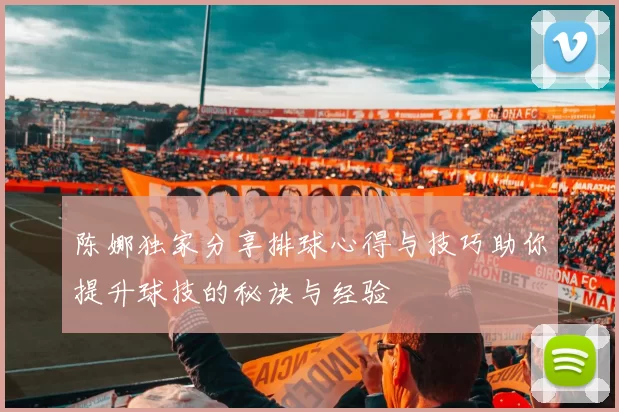 陈娜独家分享排球心得与技巧助你提升球技的秘诀与经验